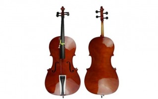 Viyolonsel